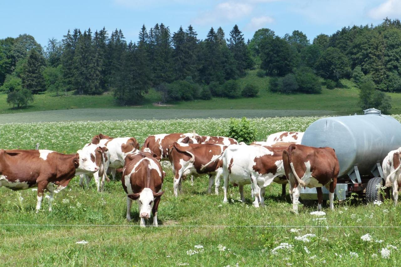 La Grange De Haute-Joux Les Fourgs Екстер'єр фото